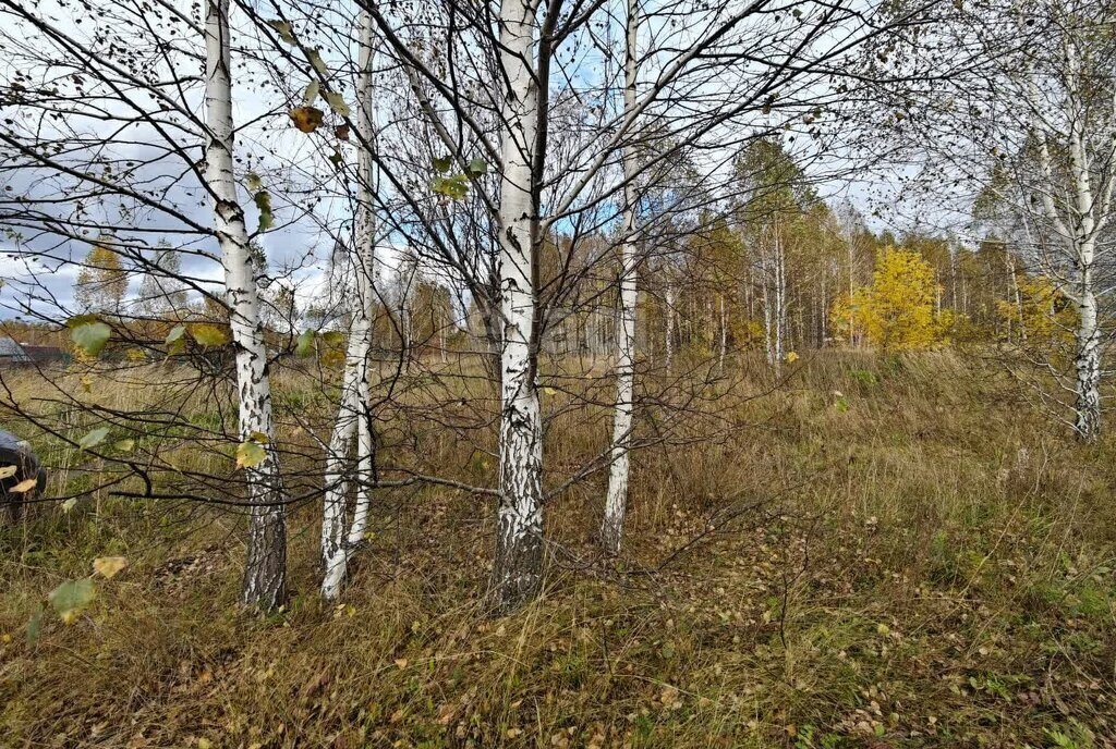 земля р-н Мошковский п Кошево ул Садовая фото 3