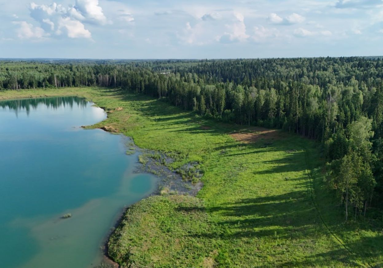 земля городской округ Дмитровский д Удино 9755 км, 151, Икша, Рогачёвское шоссе фото 10