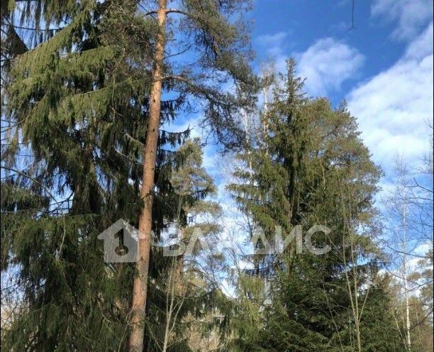 земля р-н Всеволожский г Всеволожск пр-кт Некрасова Ладожская фото 7