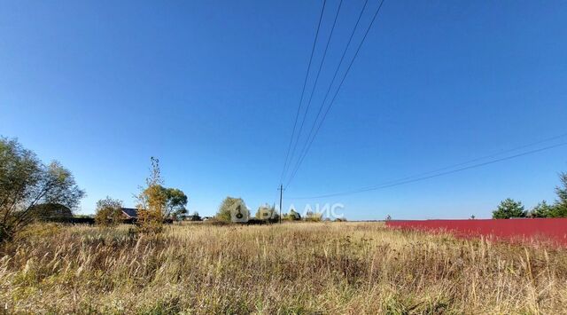 городской округ Воскресенск д Леоново фото