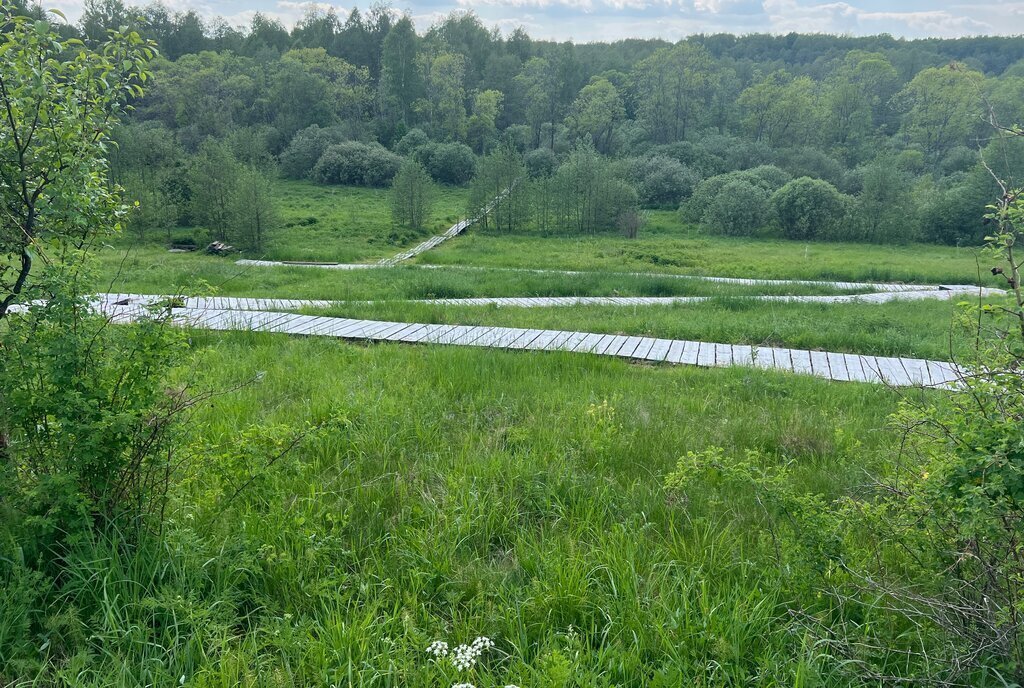 дом городской округ Можайский д Головино фото 7