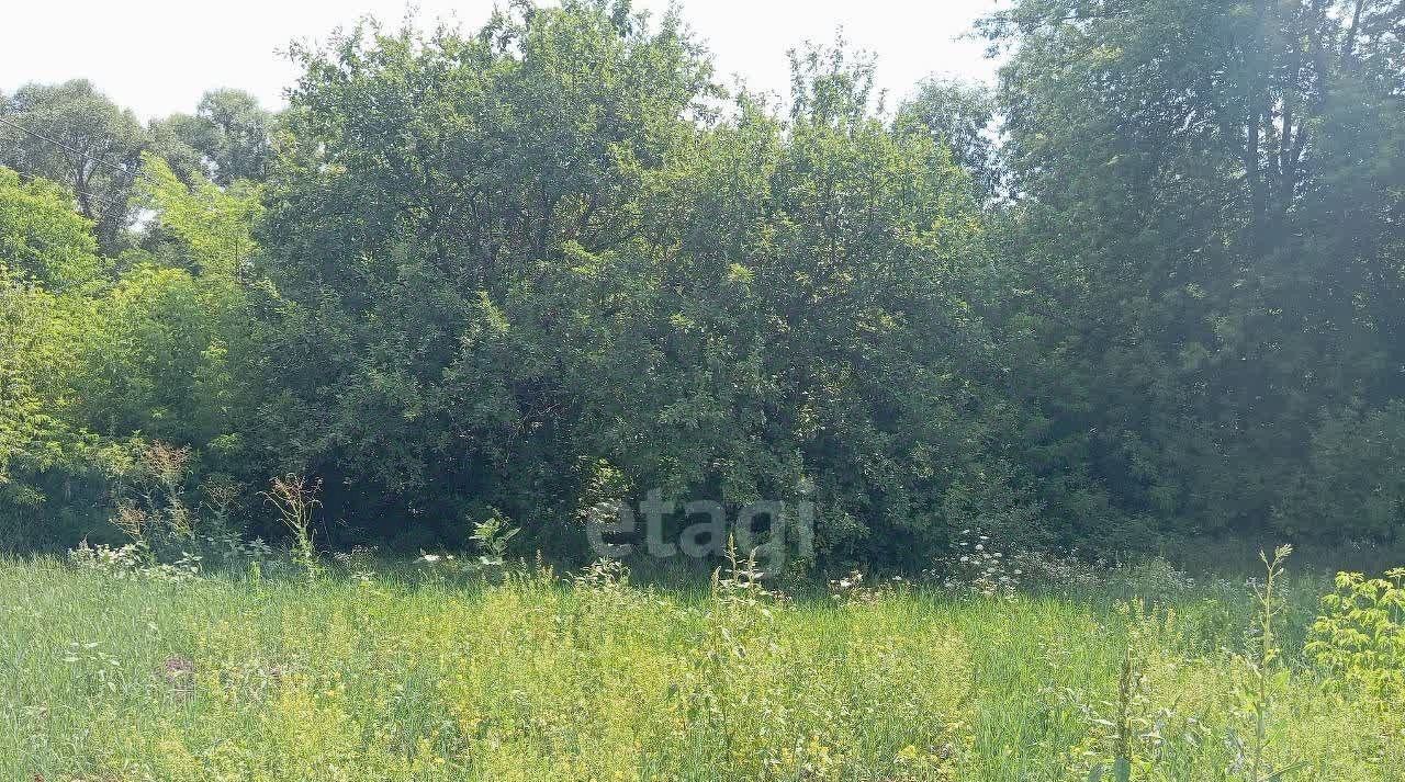 земля р-н Старооскольский с Каплино пер Кленовый Старооскольский городской округ фото 2