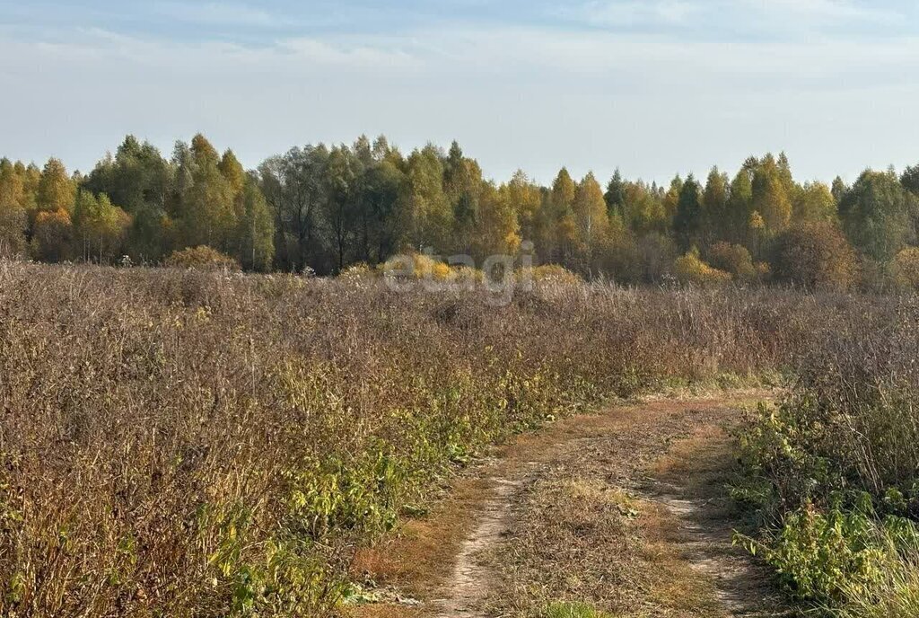 земля г Йошкар-Ола д Акшубино фото 1