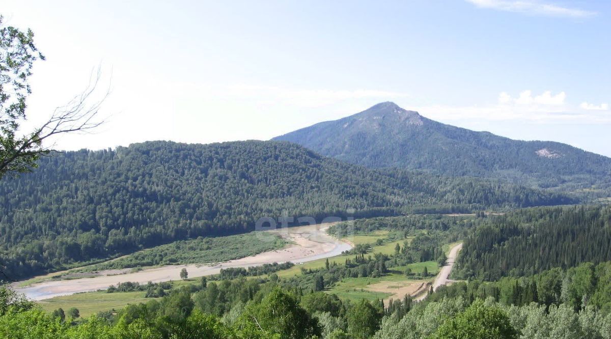 земля р-н Турочакский с Турочак фото 2