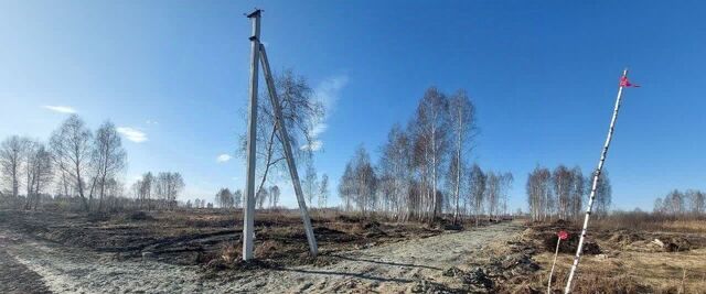 г Тюмень р-н Центральный снт Строитель ул Зеленая фото