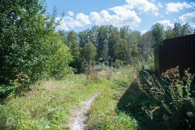 снт Марьин Лог ул 35-я городской округ Бердск фото