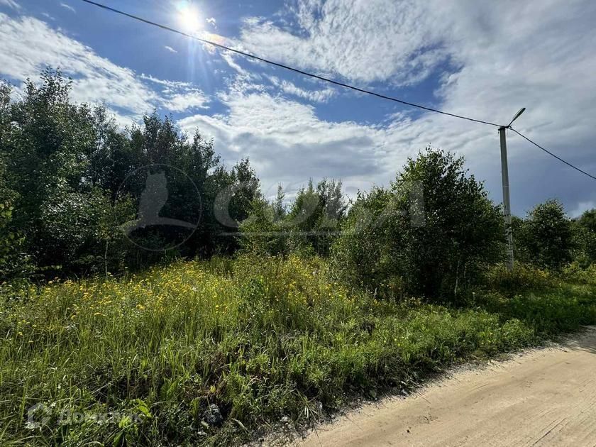 земля р-н Тюменский д Есаулова Родниковая фото 4