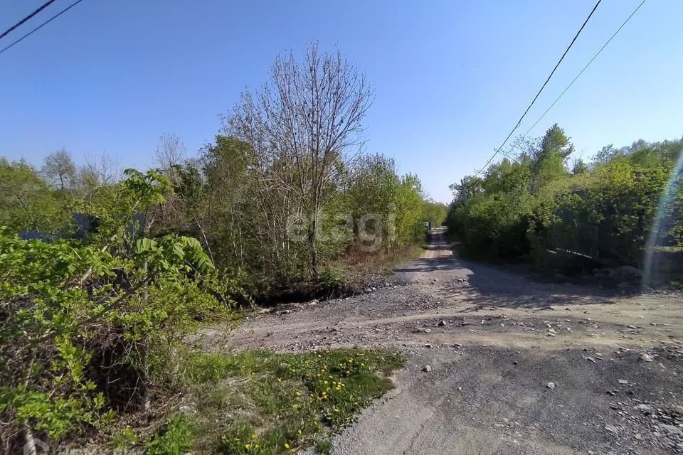 земля Владивостокский городской округ, дачный массив Синяя Сопка, СНТ Витязь фото 4