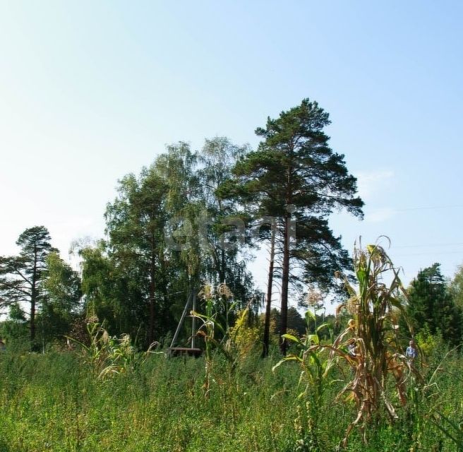 земля городской округ Бийск, Бийск фото 1