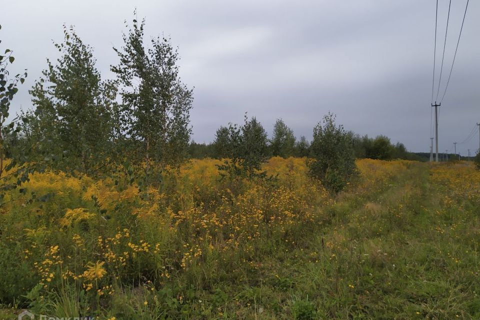 земля р-н Богородский деревня Килелей фото 3