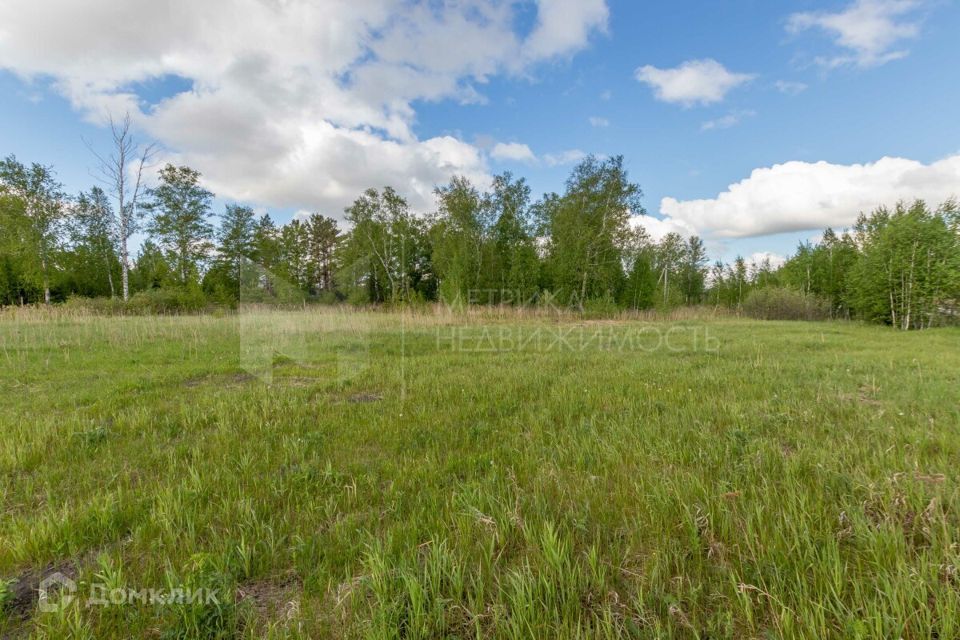 земля г Тюмень городской округ Тюмень, СО Зелёный бор фото 10