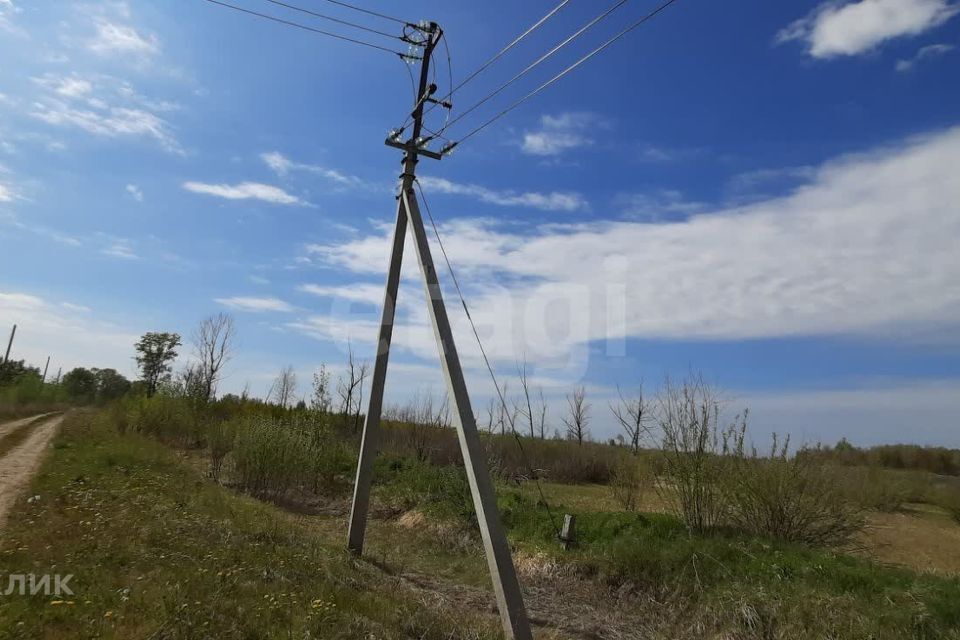 земля р-н Тюменский село Борки фото 10