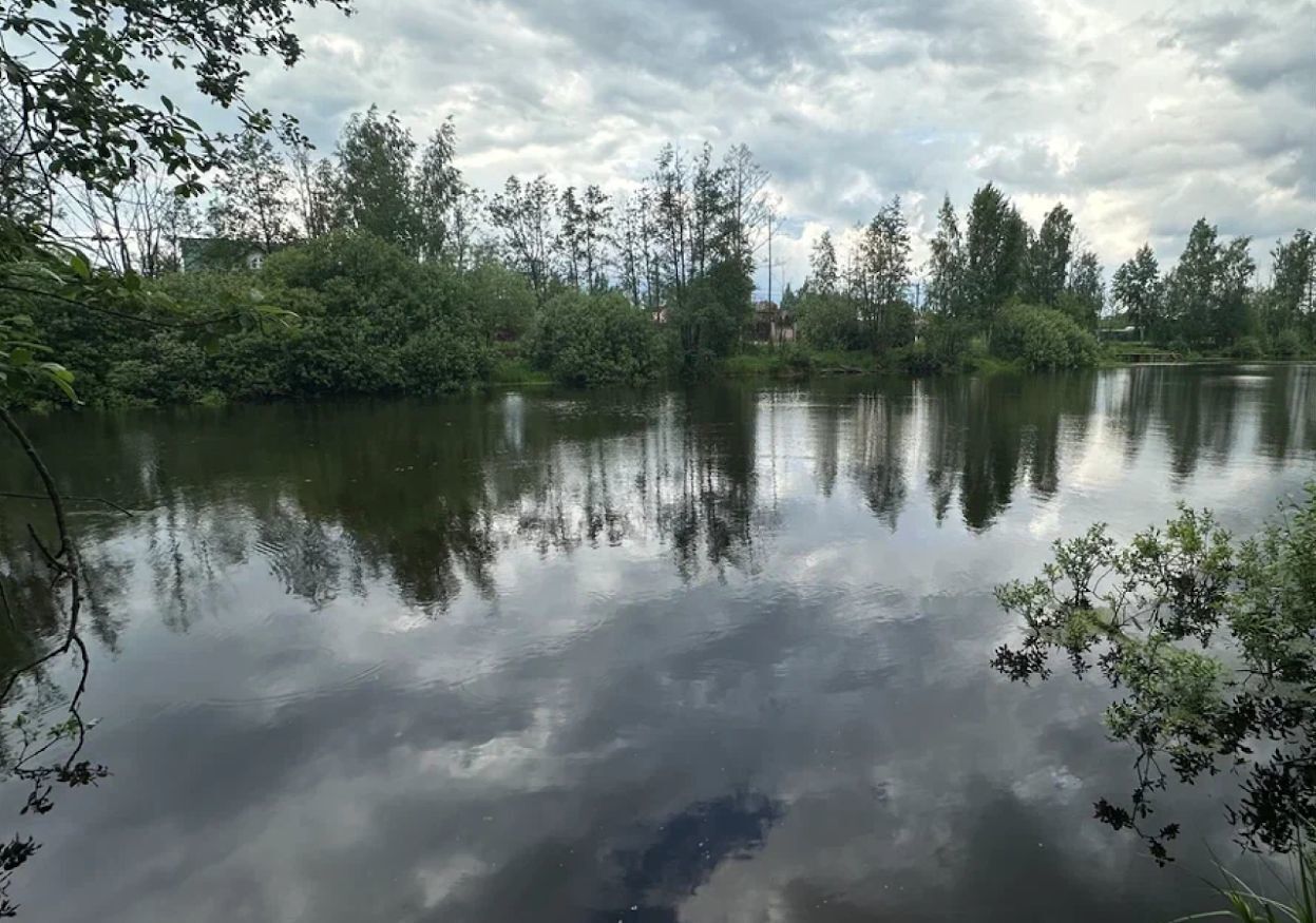 земля городской округ Ступино д Бабеево 9762 км, Электросталь, Носовихинское шоссе фото 13