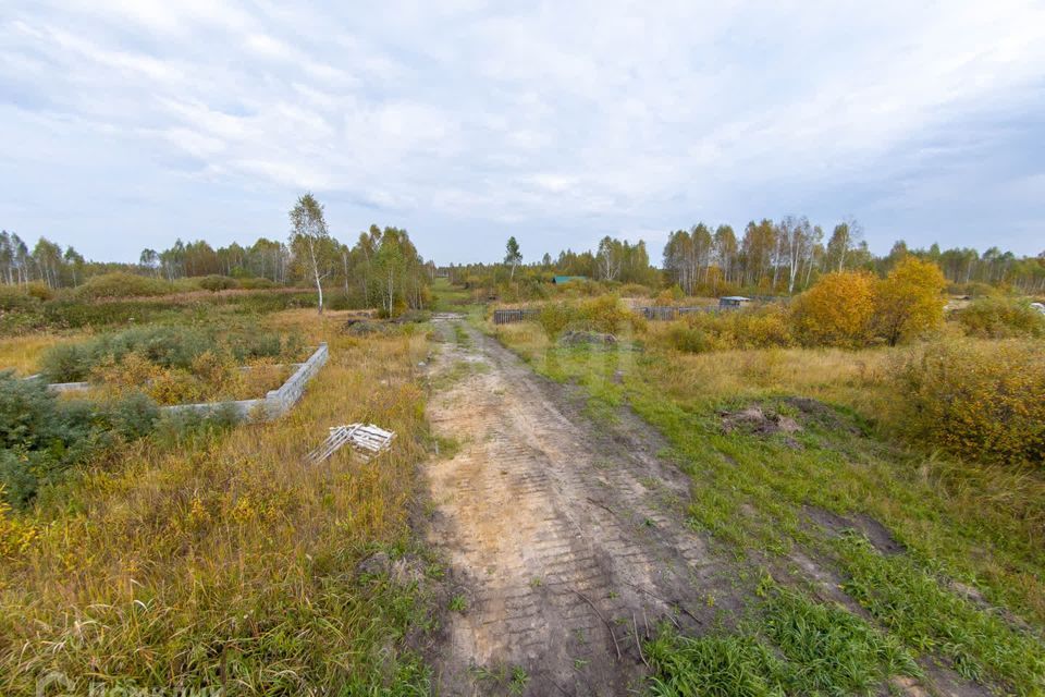 земля г Тюмень городской округ Тюмень, садовое товарищество Рябинка-2 фото 10