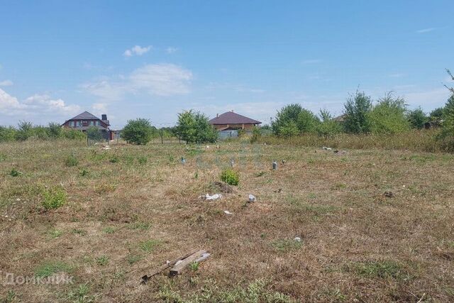 ул Вознесенская 81 Краснодар городской округ фото