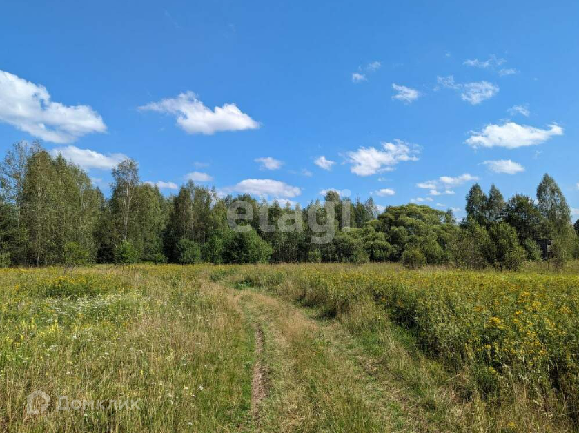 земля городской округ Шатура с Пышлицы 55а фото 4