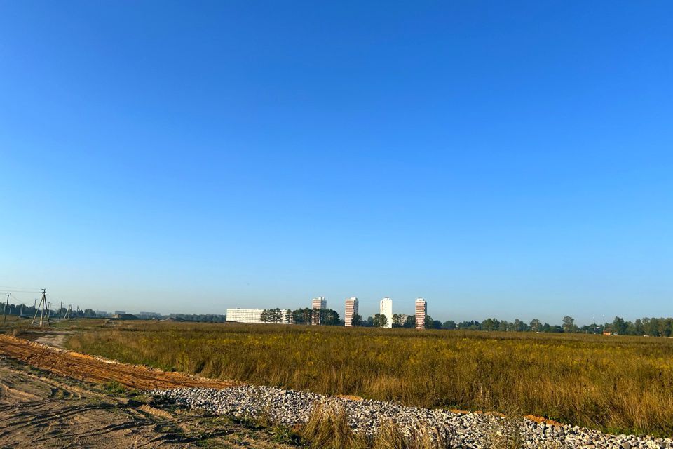 земля городской округ Пушкинский село Братовщина фото 6