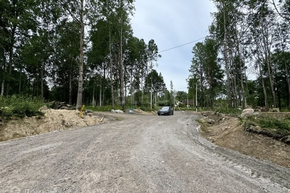 земля р-н Приозерский Светлое фото 7