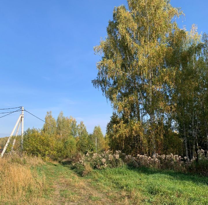 земля р-н Невьянский п Верх-Нейвинский ул Березовая фото 9