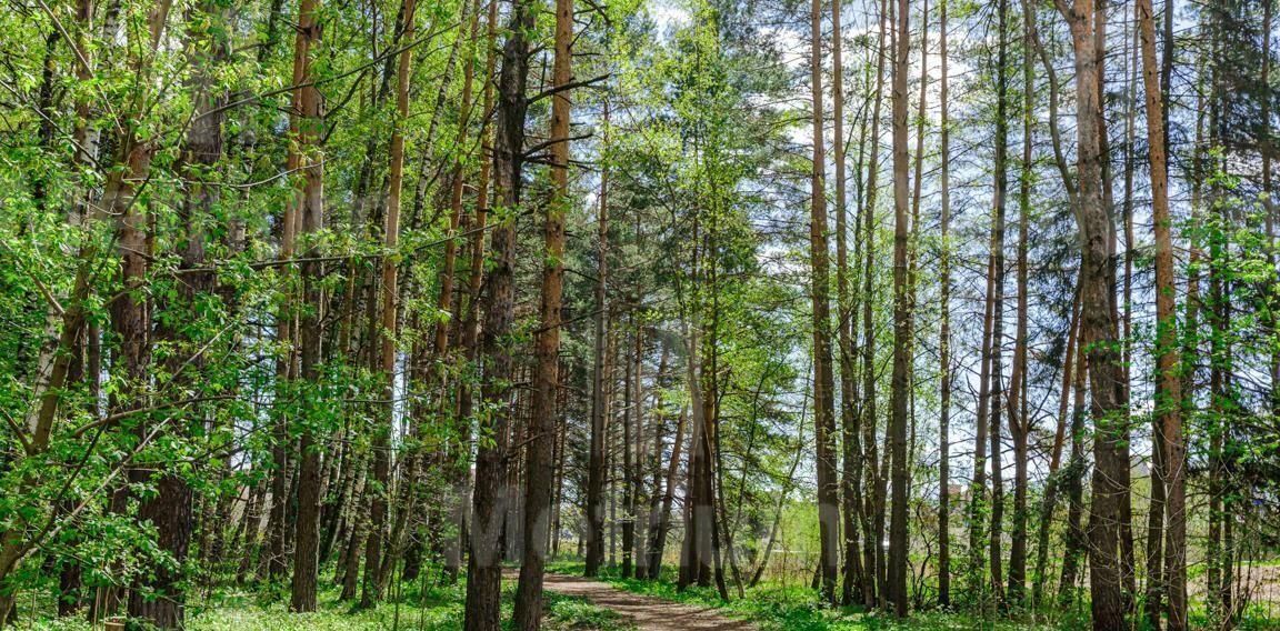 земля городской округ Одинцовский д Калчуга Одинцово фото 3