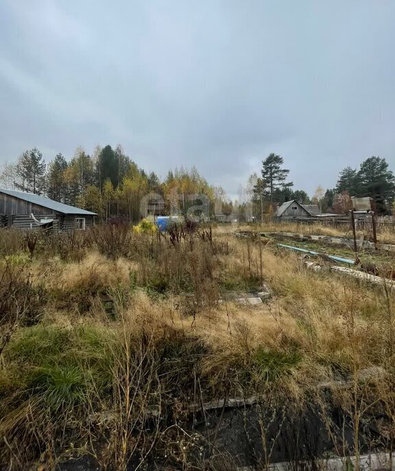 земля р-н Котласский п Савватия ул Центральная фото 8