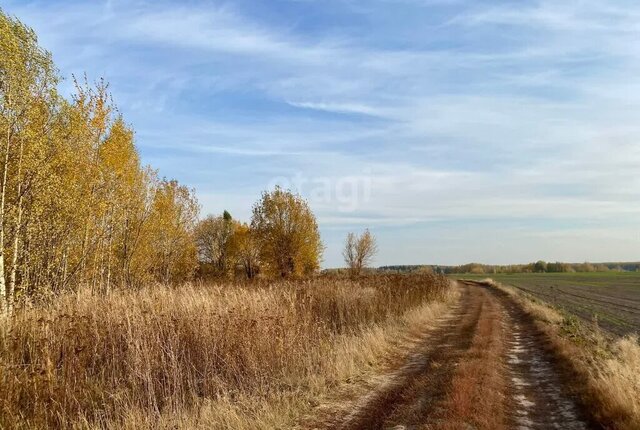 земля д Новинск Марковское сельское поселение фото