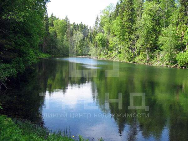 земля д Лопухинка ул Советская фото