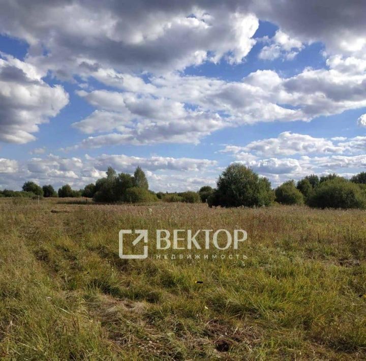 земля г Кострома фото 5