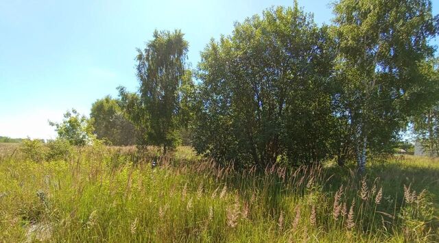 городской округ Коломенский с Сергиевское Коломна городской округ фото