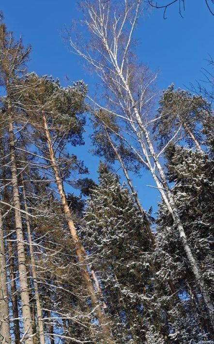 земля городской округ Истра д Чесноково Ренессанс Парк кп, Нахабино фото 7