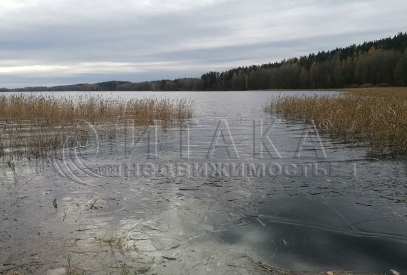 земля р-н Выборгский п Михалево Трасса Сортавала, 9835 км, Каменногорское городское поселение, Молодёжная ул., 26, Каменногорск фото 12