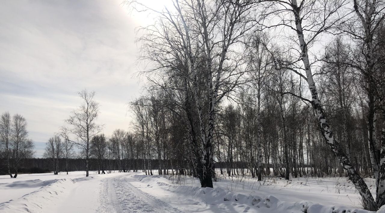 земля р-н Тюменский Дачи Хюгге ДНТ, ул. Сосновая фото 10