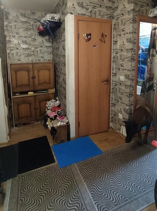 квартира г Брянск рп Радица-Крыловка Бежицкий район ул Саратовская 19 фото 6