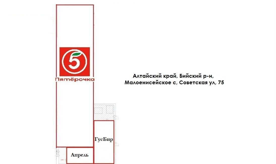 торговое помещение р-н Бийский с Малоенисейское ул Советская 75 Бийск фото 7