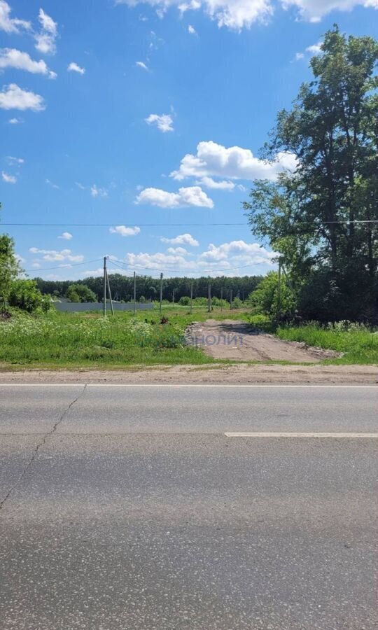 земля р-н Богородский г Богородск ул Лебедевой фото 4