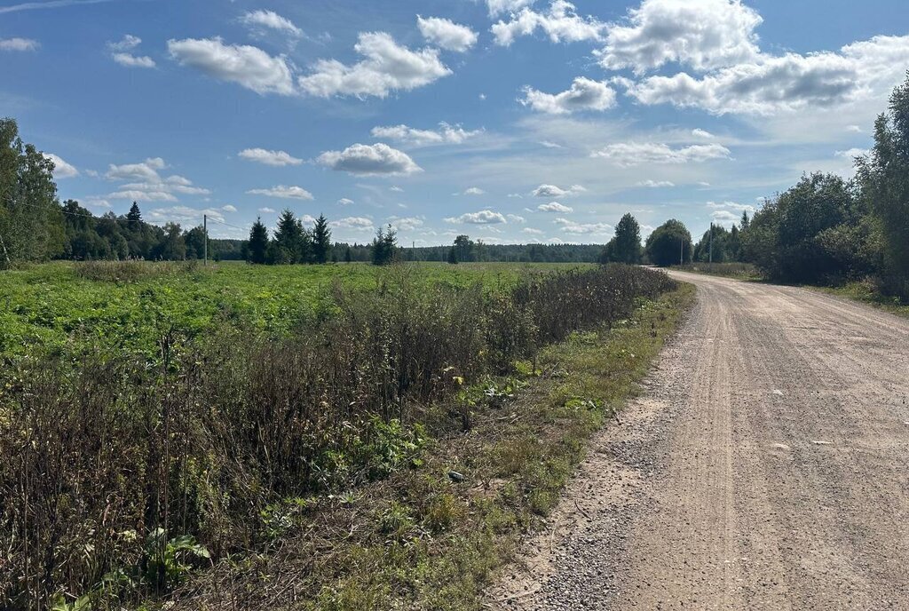 земля городской округ Клин д Денисово фото 2