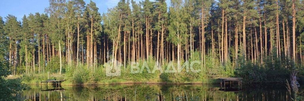 земля р-н Всеволожский д Коккорево Рахьинское городское поселение фото 1