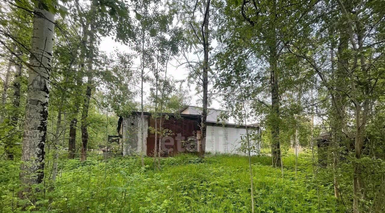 производственные, складские г Череповец р-н Заягорбский ул Космонавта Беляева 102а фото 6