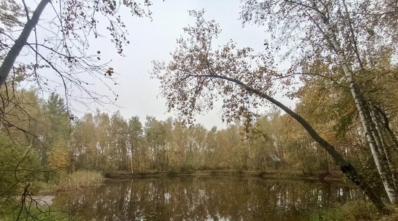 офис городской округ Раменский д Белозериха Ипподром, ул. Центральная фото 11