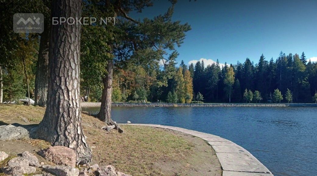 дом р-н Выборгский г Выборг р-н Петровский ул Новопоселковая фото 34
