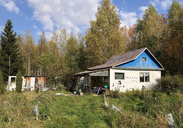 сад тер коллективный"Энергетик" Реж фото