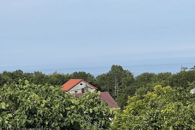 снт Лесное Геленджик городской округ, 3 фото