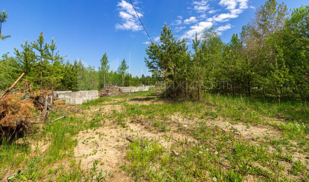 земля р-н Нижнетавдинский снт Геолог-2 фото 15