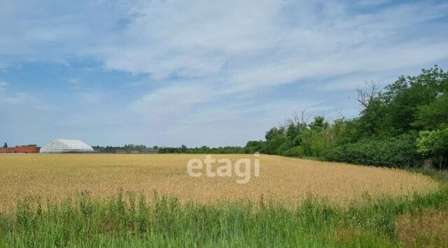 пер Жданова 169 фото