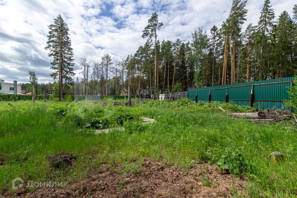 земля р-н Тюменский д Зубарева озеро Зубаревское фото 4