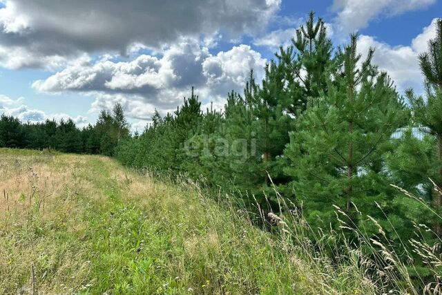 ул Колхозная 29 р-н Чкаловский Екатеринбург городской округ фото