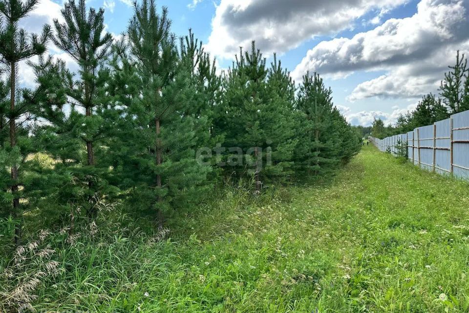 земля г Екатеринбург с Верхнемакарово ул Колхозная 29 Екатеринбург городской округ фото 3