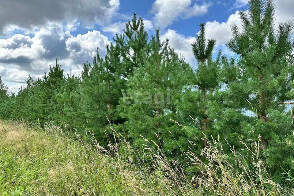 земля г Екатеринбург с Верхнемакарово ул Колхозная 29 р-н Чкаловский Екатеринбург городской округ фото 3