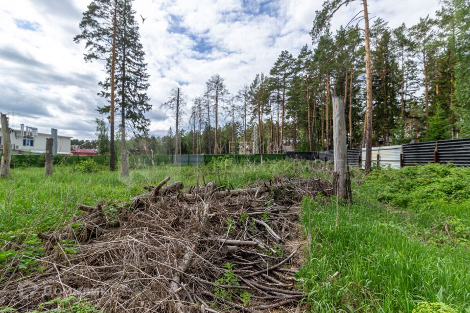 земля р-н Тюменский д Зубарева озеро Зубаревское фото 9