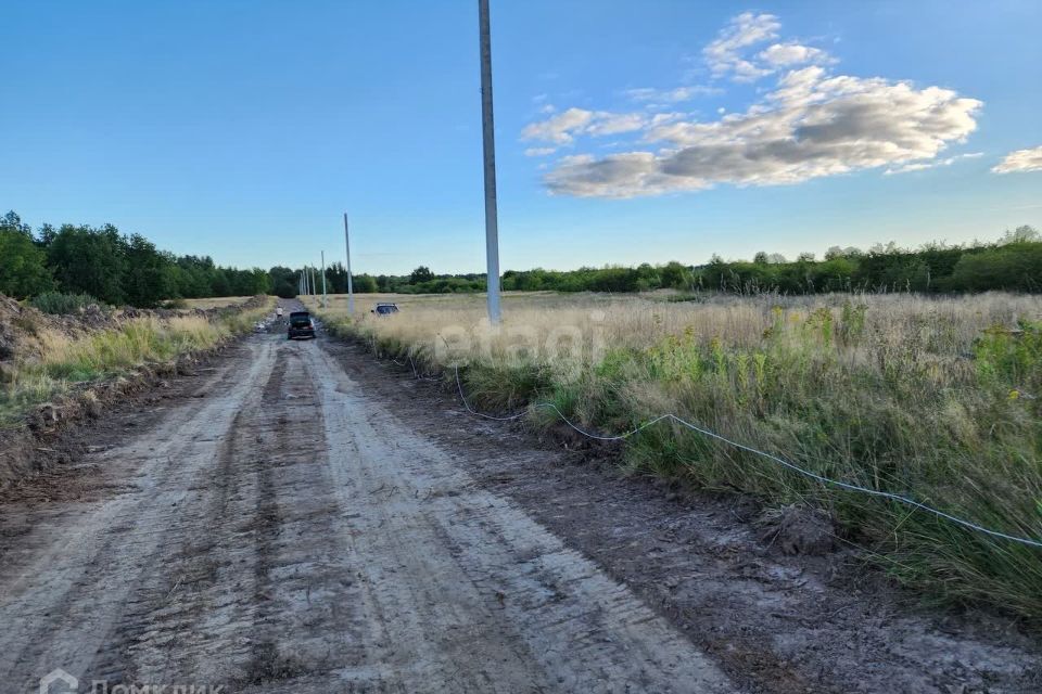 земля р-н Гурьевский п Голубево ул Сосновая 12 фото 6